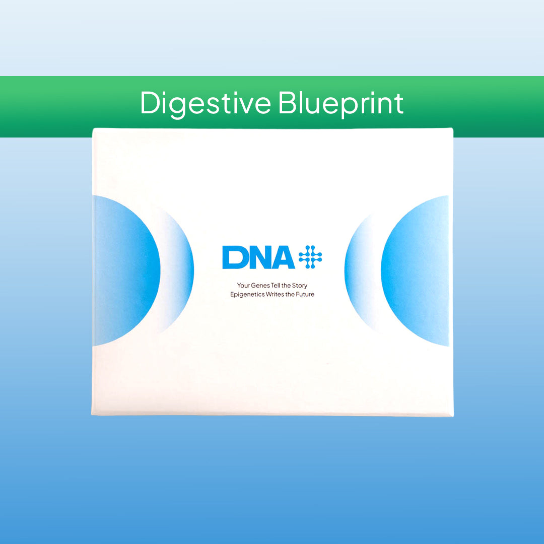 DNA+ Digestive Blueprint