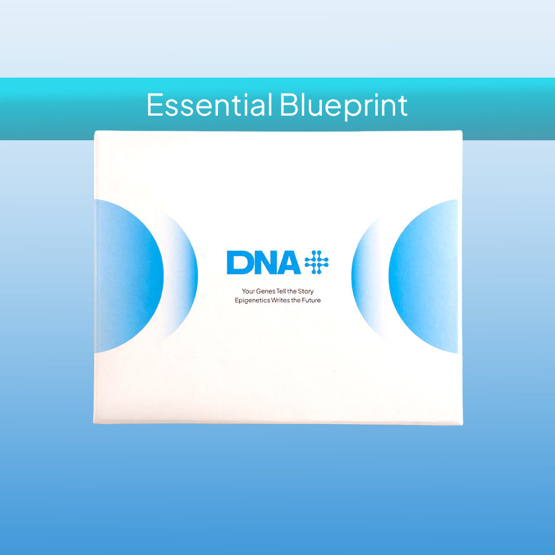 DNA+ Essential Blueprint